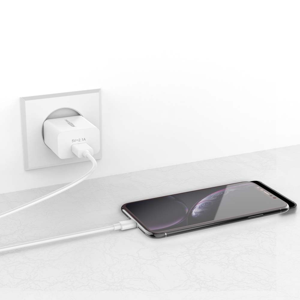 MAXEXCELL Caricabatteria per Cellulare 5V 2.4A