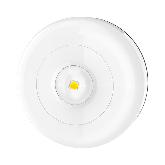 Luce Notturna LED – Accensione a Pressione – Adesiva da Parete – 3 Batterie AAA – Compatta e Facile da Installare – Luce Bianca – Modello Universale - MAX-O109