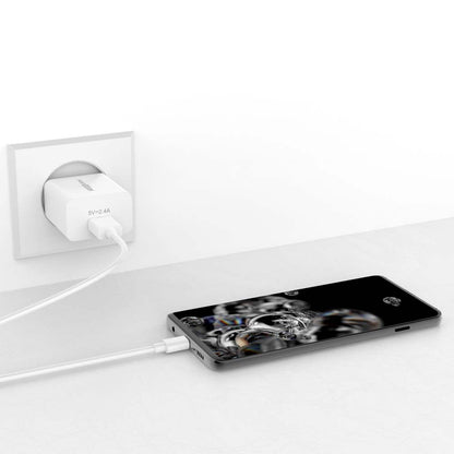 MAXEXCELL Caricabatteria per Cellulare 5V 2.4A